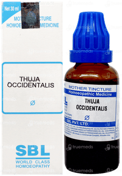 Sbl Thuja Occidentalis Q Mother Tincture 30Ml